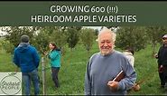 Growing 600 HEIRLOOM APPLE TREE VARIETIES 😋 🍎 ⭐