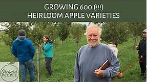 Growing 600 HEIRLOOM APPLE TREE VARIETIES 😋 🍎 ⭐