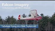 Tailwheel Flying in a 1946 Taylorcraft BC12-D