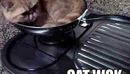 Cats in the Cradle or Kettle "In My Chow Mein" Funny Parody Song