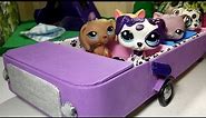 How to Make an LPS Car - Limo: Doll DIY