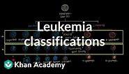 Leukemia classifications | Hematologic System Diseases | NCLEX-RN | Khan Academy