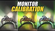 The Quick & Easy Way To Calibrate Your Monitor for Photography