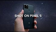 PIXEL 5 Camera Test: Sample photos, video & astrophotography