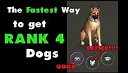 The Fastest Way to get Rank 4 Dogs in Last Day on Earth Survival. LDOE Puppy Food