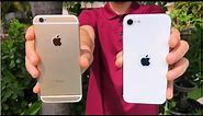 iPhone 6 vs iPhone SE 2020 Camera Comparison!
