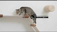 Mounting Cat Ladders