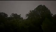 Video: Lightning Strikes Tree During Severe Storms In Tulsa