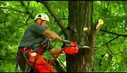 Top Handle Chainsaw Overview