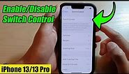 iPhone 13/13 Pro: How to Enable/Disable Switch Control