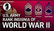 U.S. Army Rank Insignia of WW2