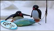 Pingu Goes Fishing With His Family! 🐟 @Pingu 1 Hour | Cartoons for Kids