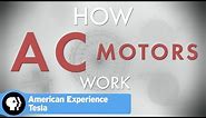 How Does an AC Motor Work? From Tesla