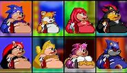 Sonic 2 XL Fat Metal Sonic, Ray, Amy, Tails, Shadow, Knuckles, Mighty, Sonic