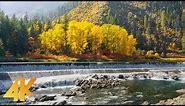 4K Fall Foliage of Leavenworth Area - 3,5 HRS of Amazing Autumn Scenery and Nature Sounds