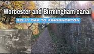 sellyoak to Kingsnorton - Worcester and Birmingham canal