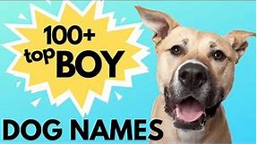 Top 100 Unique MALE Dog Names– Unusual Male Dog Names