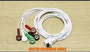 AHA Schiller ECG Holter Cable IEC 10 Leads ECG Banana Cable