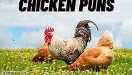 50 Chicken Puns That'll Inspire Your Inner Comedi-Hen
