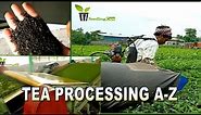 Tea Processing Step || How to CTC Tea Processed || Tea Processing unit Tour