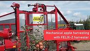 Mechanical apple harvesting with FELIX