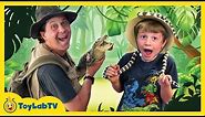 Giant Alligators at Kids Wildlife Park with Toy Hunt for Surprise Crocodile Toys from ToyLabTV