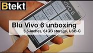 Blu Vivo 6 unboxing: 5.5", 64GB, USB-C - £229