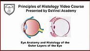 Eye Anatomy and Histology of the Outer Layers of the Eye [Special Senses Histology Part 1 of 4]