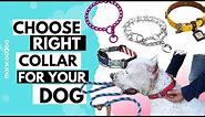 How to choose right COLLAR for your dog. Pros and Cons EXPLAINED.