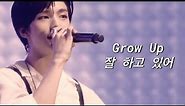 "Grow Up" (잘 하고 있어) By Stray Kids (SKZ 2020 ver.) [FMV] (ENG/KR Lyrics)