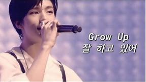 "Grow Up" (잘 하고 있어) By Stray Kids (SKZ 2020 ver.) [FMV] (ENG/KR Lyrics)