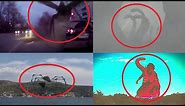 5 Godzilla Characters Caught on Camera & Spotted in Real Life 3