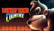 Donkey Kong Country - Gang-Plank Galleon (Final Boss remix/cover)