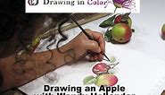 Drawing an Apple Step by Step with Wendy Hollender