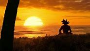 Goku Watching Sunset Dragon Ball HD Live Wallpaper For PC
