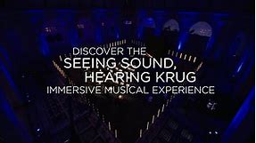Krug x Ryuichi Sakamoto — Seeing Sound, Hearing Krug — Live at the Brooklyn Museum, New York