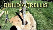 How-to Build a High Cordon Grape Trellis ― Setting the End Posts