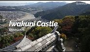 Iwakuni Castle, Yamaguchi | Japan Travel Guide