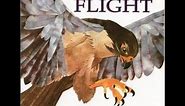 Animals in Flight by Steve Jenkins & Robin Page