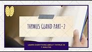 Tymus part 2 / learn thymus in 7 minutes / Blood Thymus Barrier (histology of thymus)