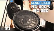 Sennheiser HD650 and HD600 Review - Revisiting Classic Headphones in 2020