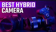 7 Best Hybrid Cameras in 2024