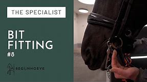 How to properly fit the bit for your Dressage Horse | Begijnhoeve | The Specialist #8