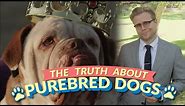 The Bizarre Truth About Purebred Dogs (and Why Mutts Are Better) - Adam Ruins Everything