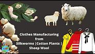 What are Clothes | How Clothes are made | Cotton | Silk | Wool | Complete process