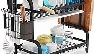 1Easylife Dish Drying Rack, 2-Tier Compact Drainboard Set, Large Rust-Proof Drainer with Utensil /Cutting Board Holder for Kitchen