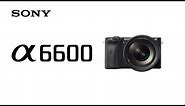 Product Feature | Alpha 6600 l Sony | α