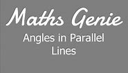 Angles in Parallel Lines