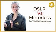 Mirrorless Vs DSLR For Wildlife Photography