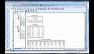 Calculating and Interpreting Cronbach's Alpha Using SPSS
